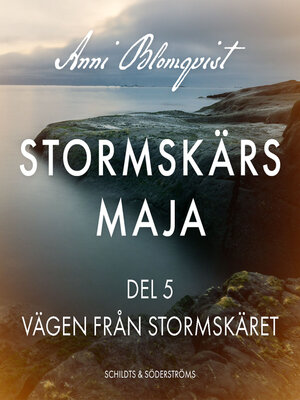cover image of Vägen från Stormskäret